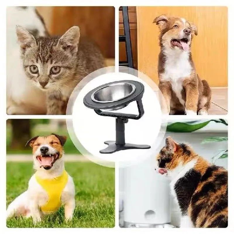 Elevated Pet Bowl: Happy & Healthy Feeding