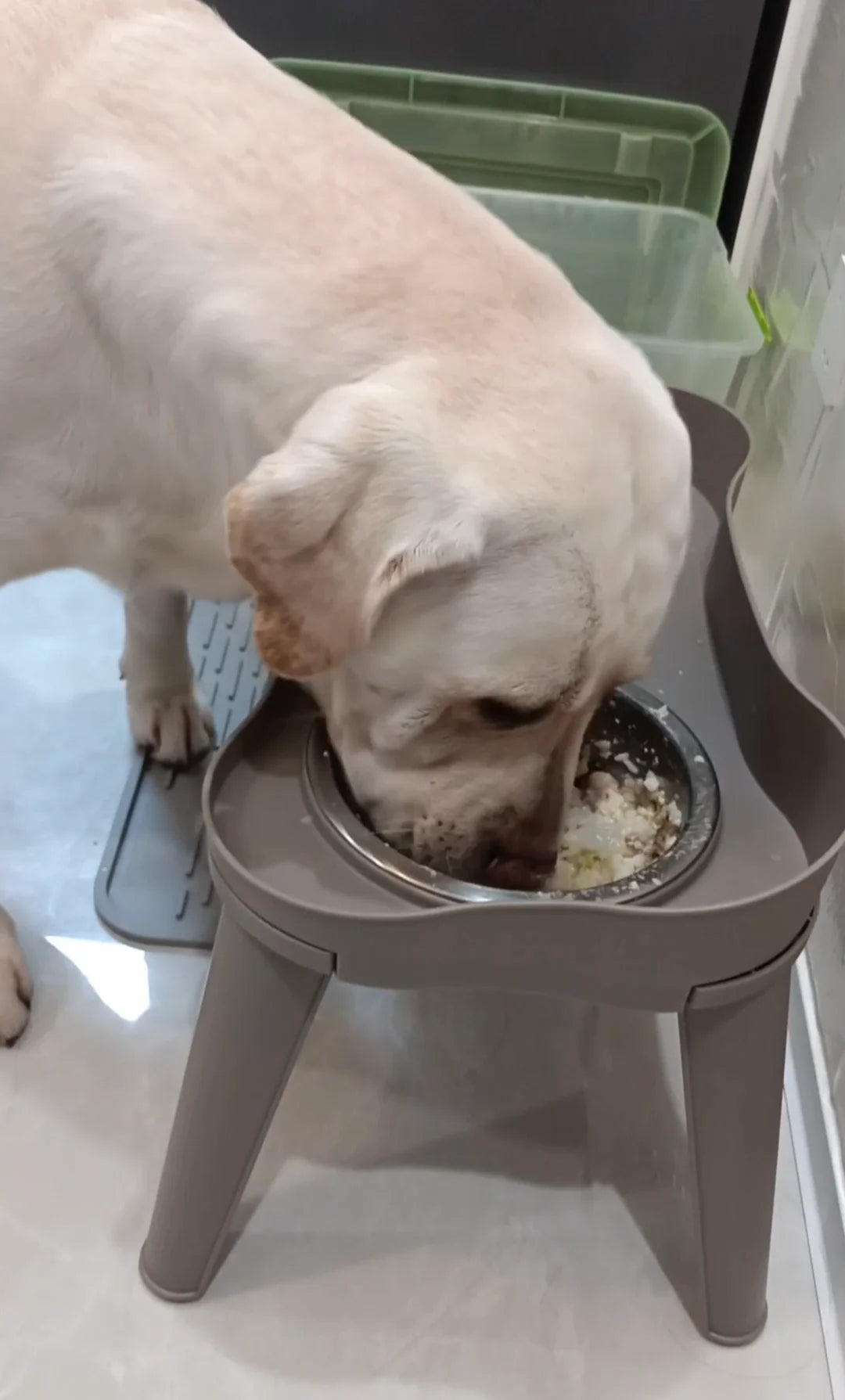 Elevated Dog Bowls: Healthy Eating for Happy Dogs