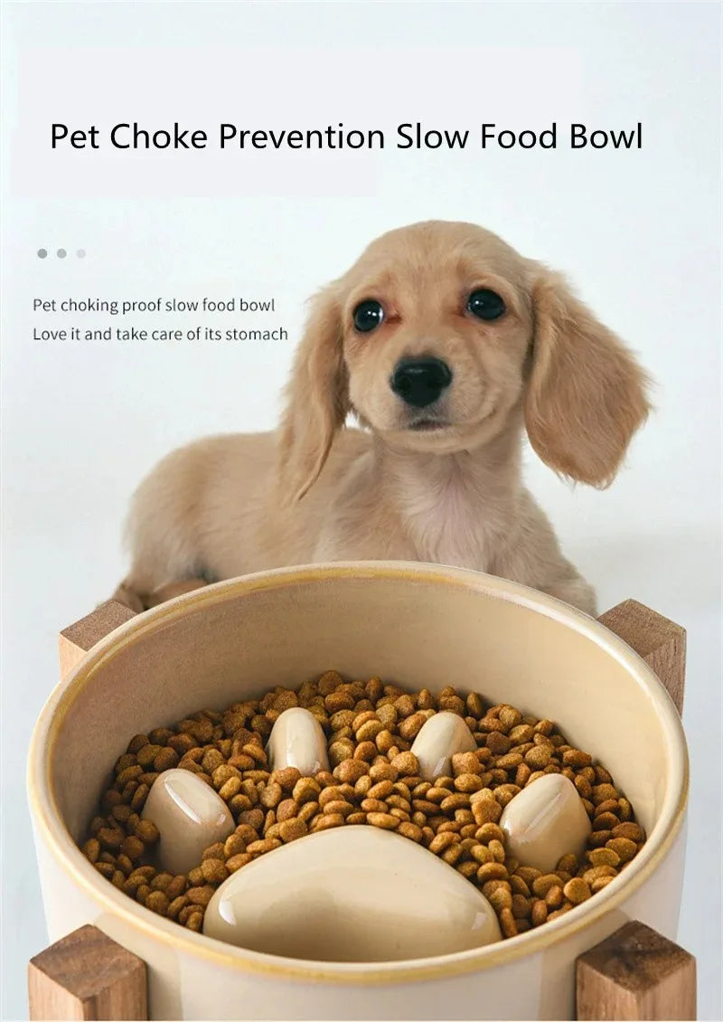 Ceramic Slow Feeder Bowl for Happy & Healthy Pets