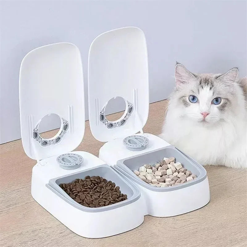 Automatic Pet Feeder: Stress-Free Feeding for Your Furry Friend