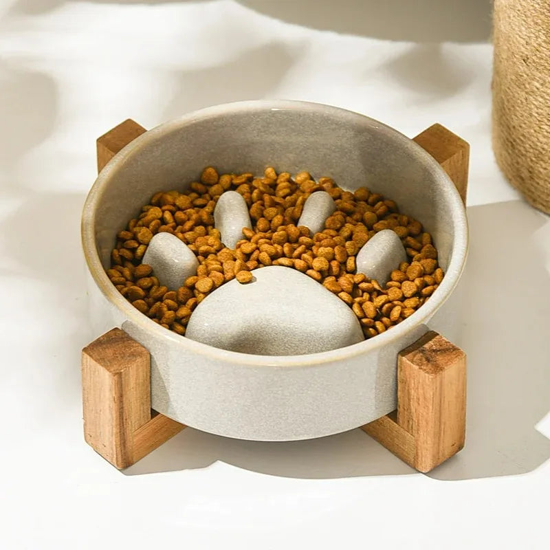 Ceramic Slow Feeder Bowl for Happy & Healthy Pets