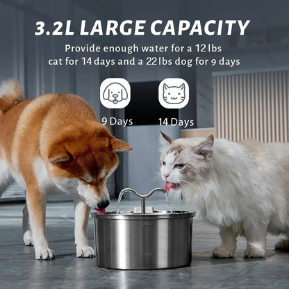 Cat Stainless Steel Pet Fountain: Hydration Happiness