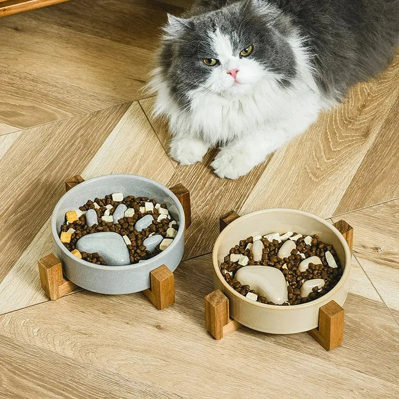 Ceramic Slow Feeder Bowl for Happy & Healthy Pets