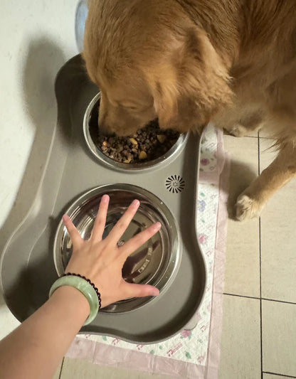 Elevated Dog Bowls: Healthy Eating for Happy Dogs