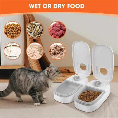 Automatic Pet Feeder: Stress-Free Feeding for Your Furry Friend