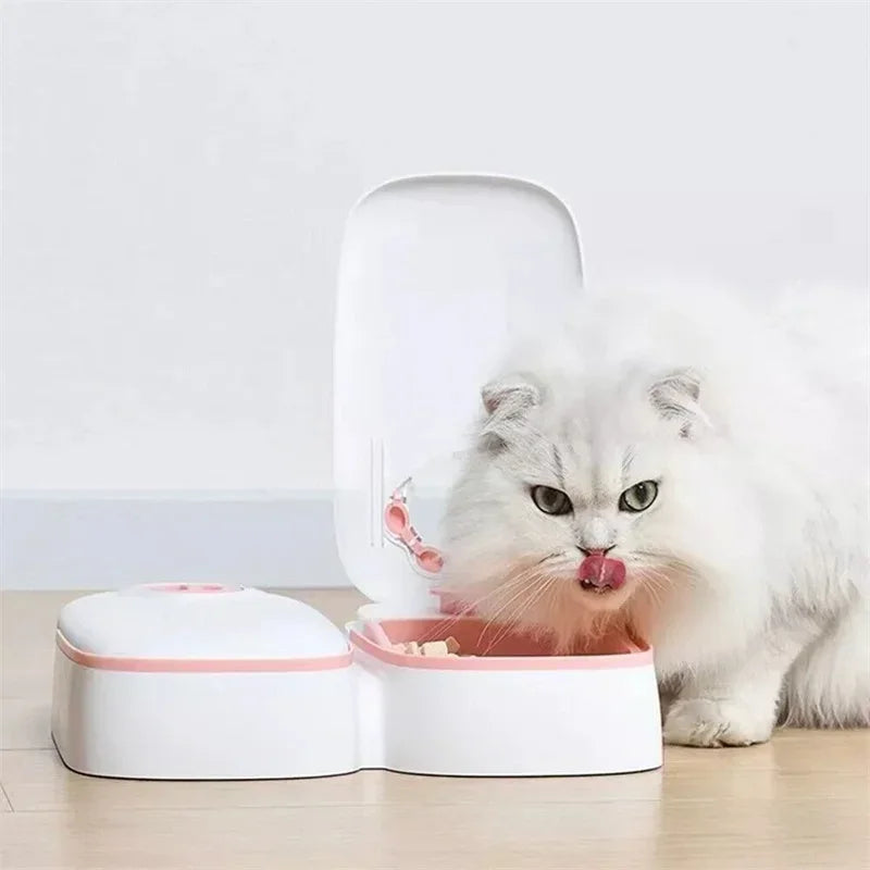 Automatic Pet Feeder: Stress-Free Feeding for Your Furry Friend