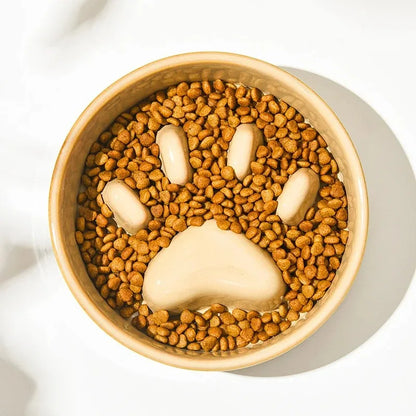 Ceramic Slow Feeder Bowl for Happy & Healthy Pets