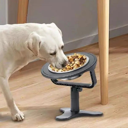 Elevated Pet Bowl: Happy & Healthy Feeding