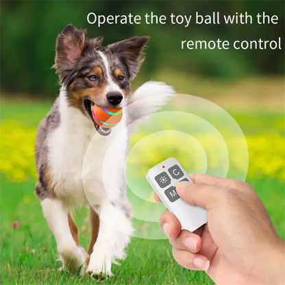 Remote Control Smart Dog Ball: Endless Fun & Exercise!