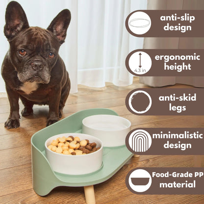 Elevated Pet Feeder: Happy & Healthy Eating