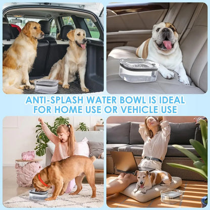 2L Spill-Proof Pet Slow Feeder Bowl