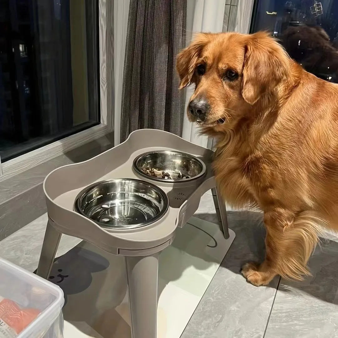 Elevated Dog Bowls: Healthy Eating for Happy Dogs