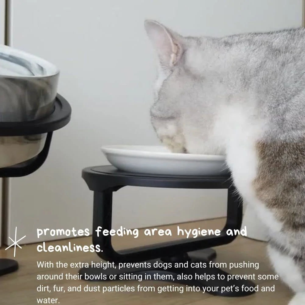 Elevated Pet Bowl: Happy & Healthy Feeding