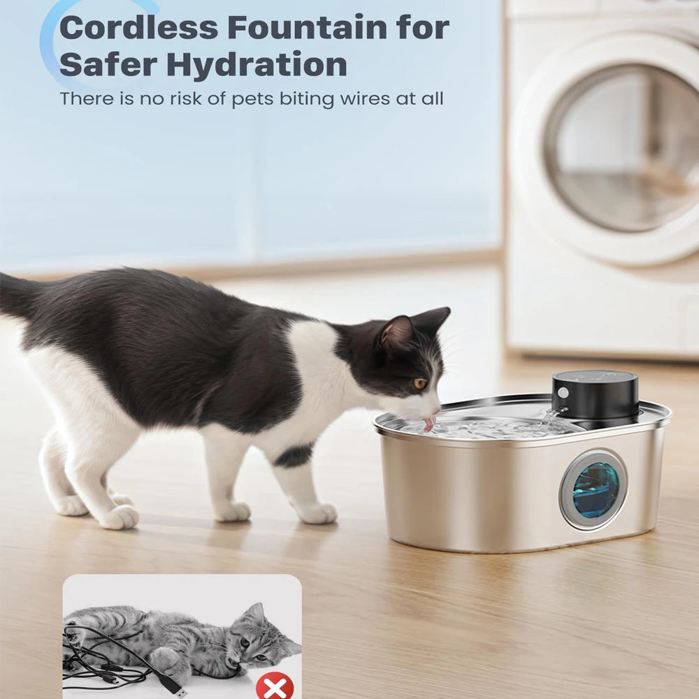 Repetsun Stainless Steel Cat Water Fountain: The Purrfect Hydration Solution