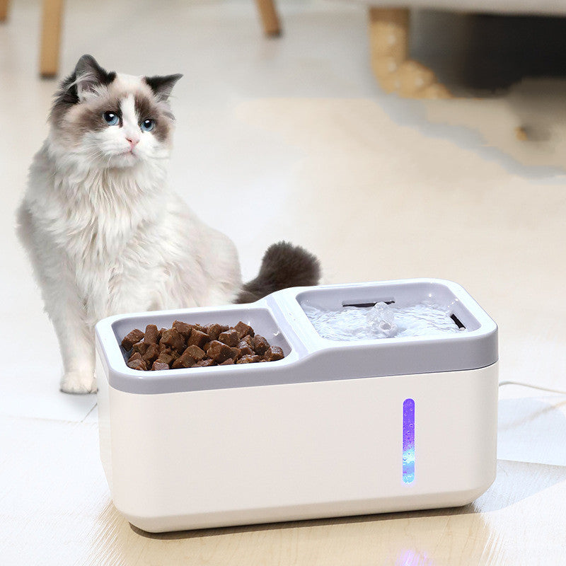 Stylish 2-in-1 Automatic Pet Water Dispenser and Feeder for Healthy Hydration