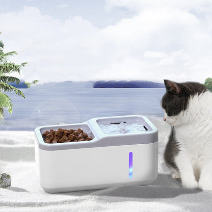 Stylish 2-in-1 Automatic Pet Water Dispenser and Feeder for Healthy Hydration