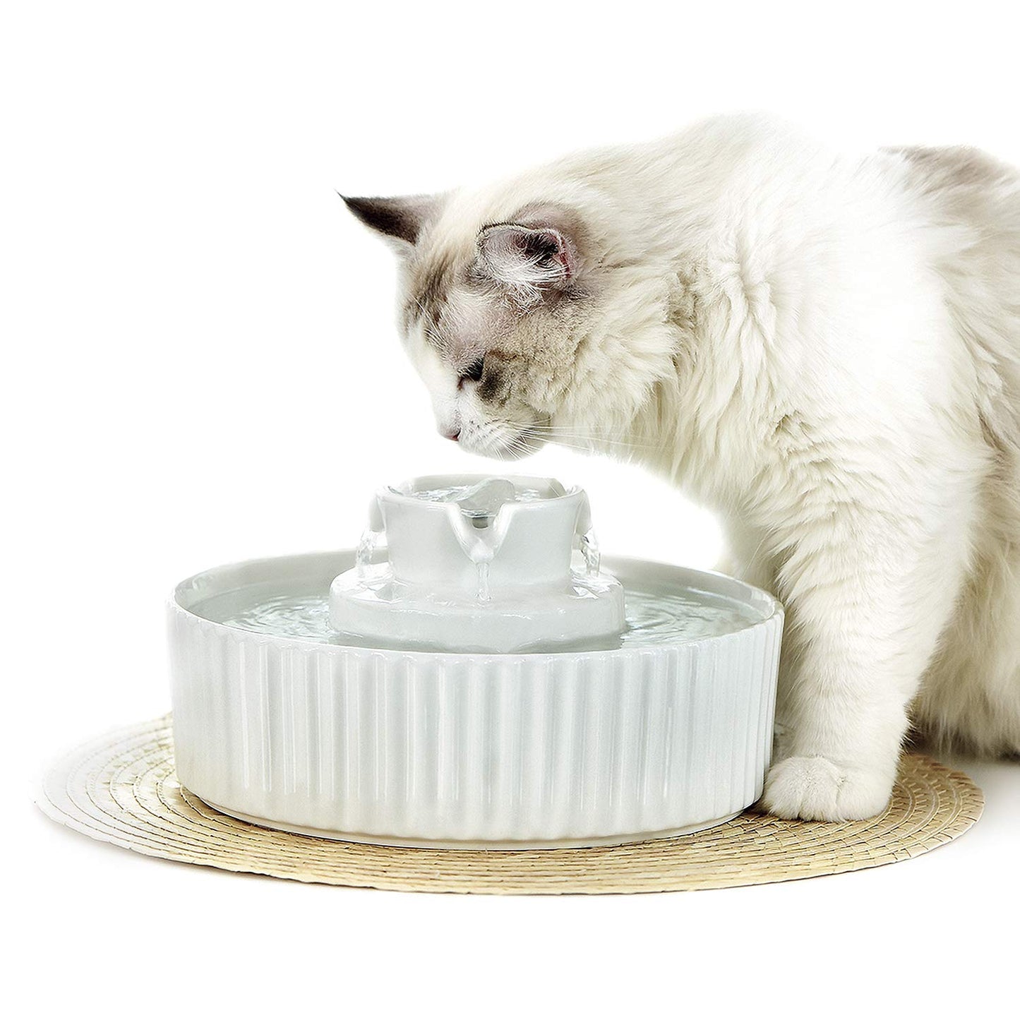 Stylish Ceramic Cat Water Fountain - Promotes Healthy Hydration & Elegant Home Decor